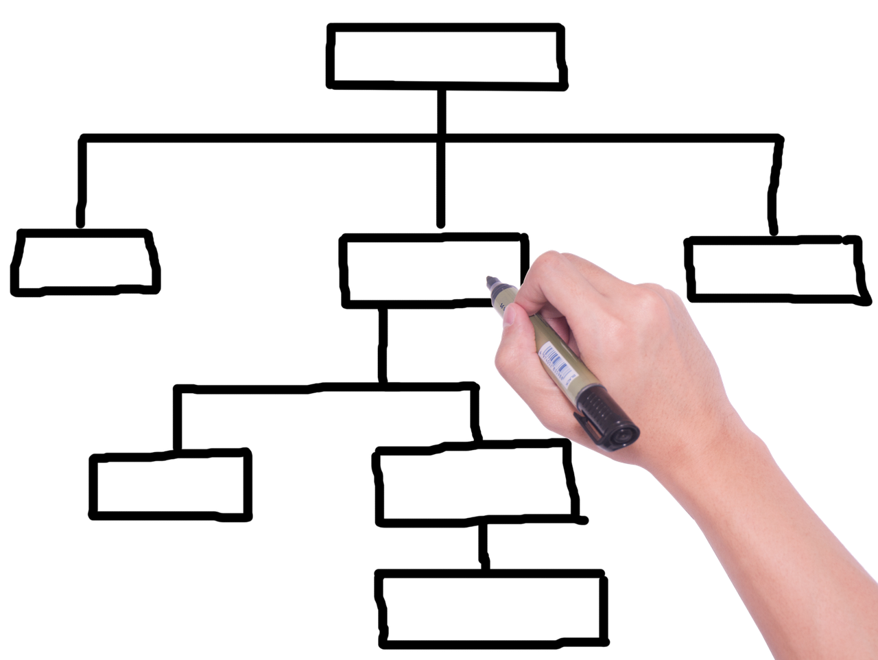 보험료비교사이트