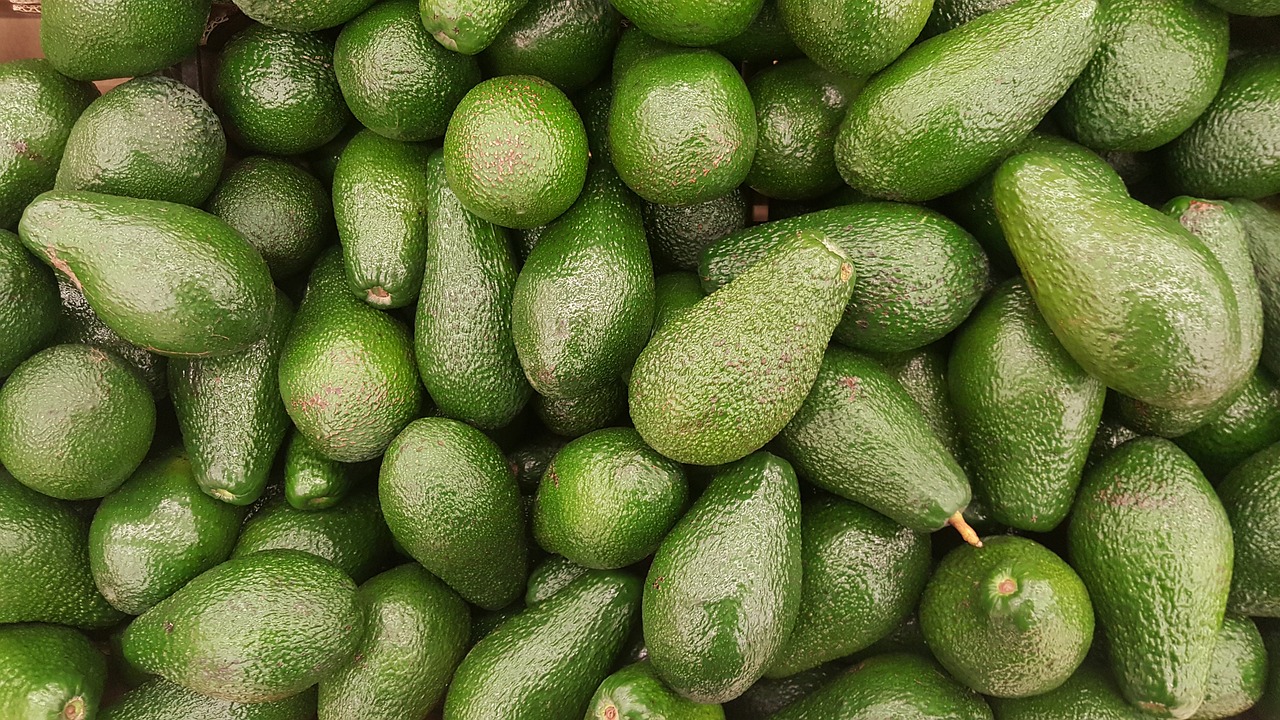 치아보험신청